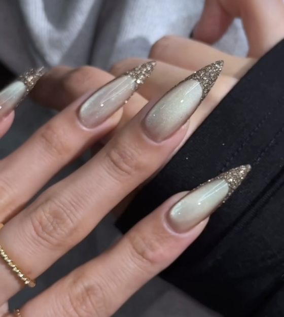 AVSAR Stardust Cat Eye Press On Nails – Champagne Tip